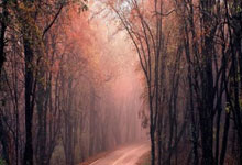 开云体育官网：[图]英联杯-范迪克破门 利物浦总比分4-1热刺进决赛.