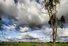 开云体育官网:多彩民族韵,共绘同心圆——第十二届全国少数民族传统体育运动会开幕式侧记新华社.